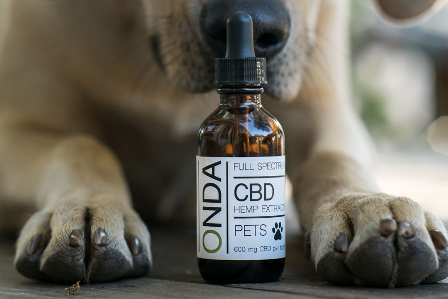 best cbd oil for dogs
